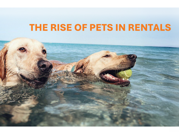 The Rise of Pets in Rentals