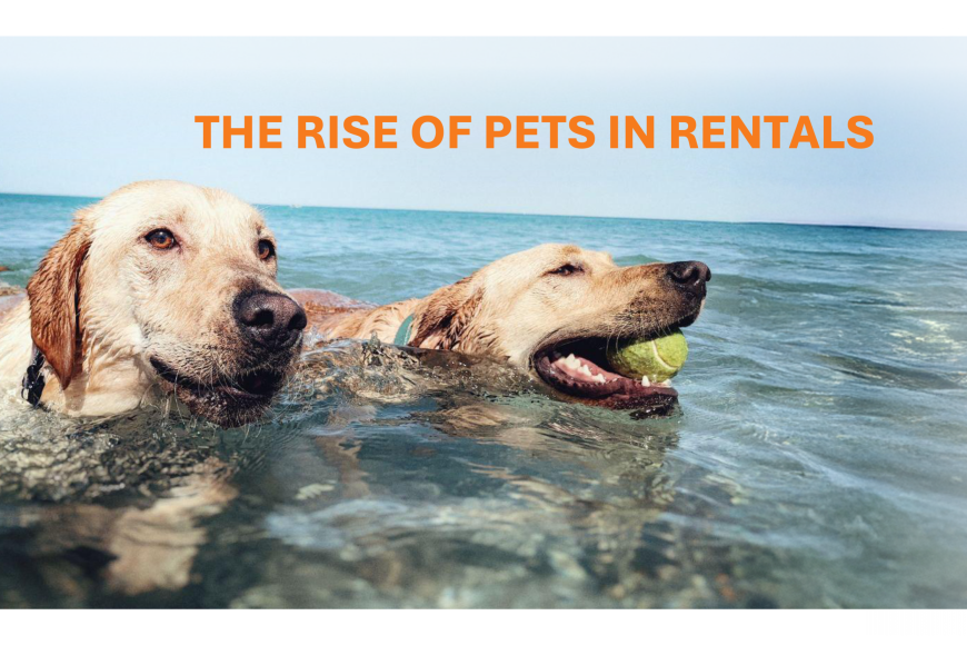 The Rise of Pets in Rentals